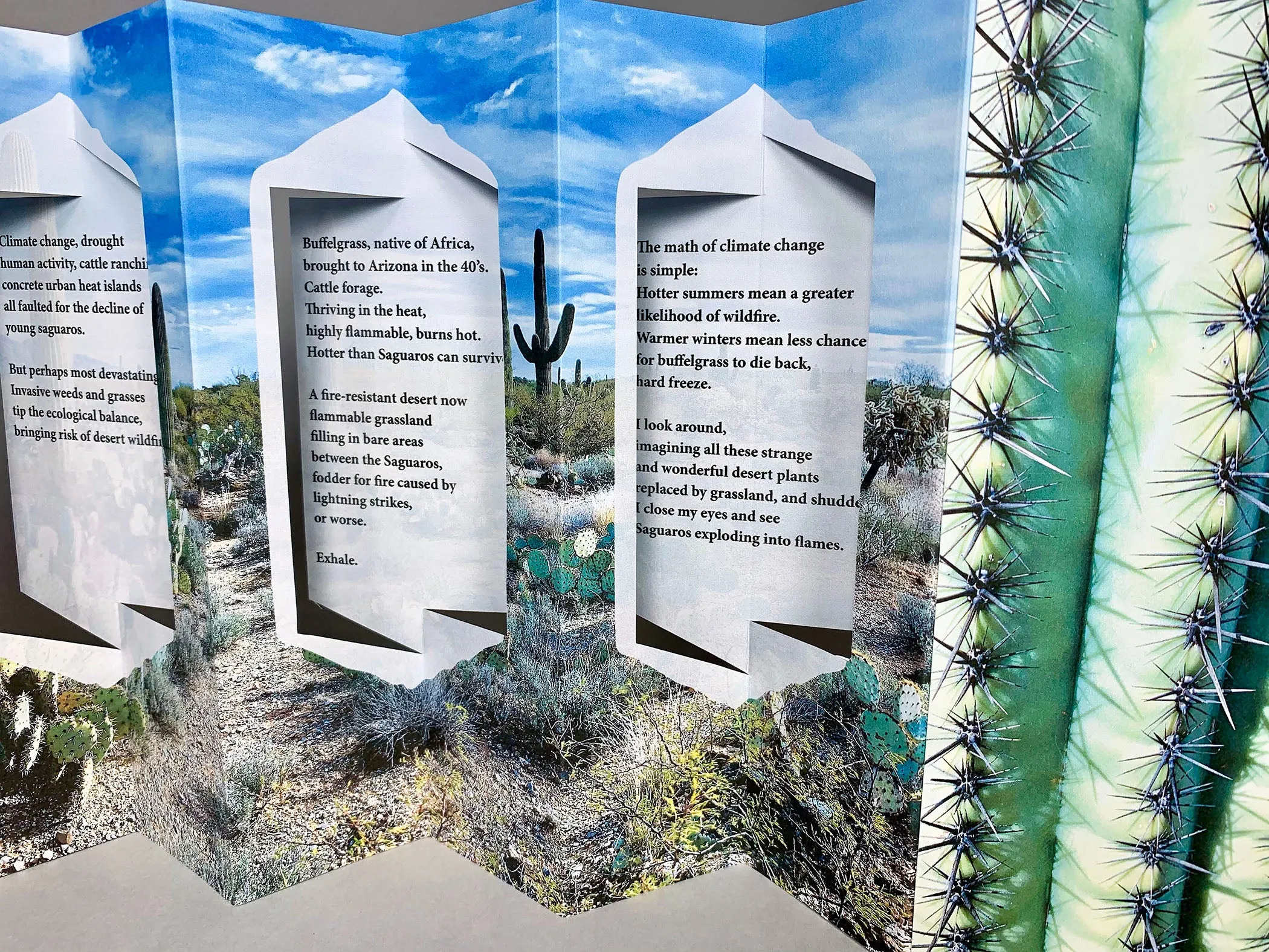 Sentinels of the Desert by Laura Russell