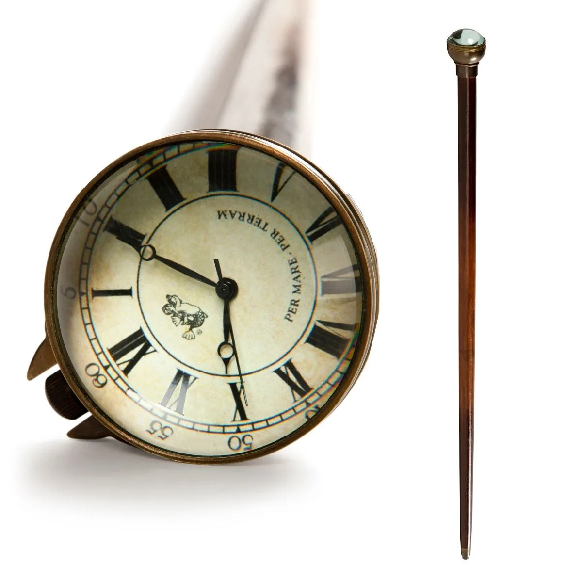 Time Companion Walking Stick